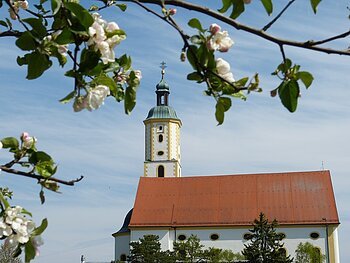 Obstbaumblüten blühen im Vordergrund. Im Hintergrund ist die Wallfahrtsbasilika Maria Brünnlein.