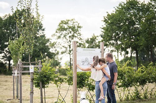 Eine Familie steht an einer Informationstafel im botanischen Obstlehrgarten.