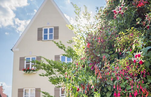 Blick auf die Fuchsienpyramide und das Verwaltungsgebäude.