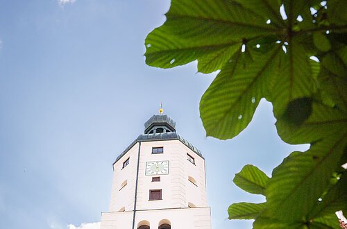 Blick auf den Kirchturm der Stadtpfarrkirche St. Emmeram.