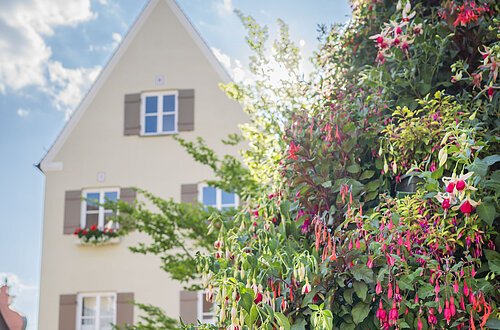 Blick auf die Fuchsienpyramide und das Verwaltungsgebäude.